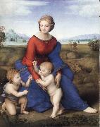 Raphael The Madonna in the Meadow China oil painting reproduction