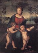 Raphael The Madonna of the Goldfinch China oil painting reproduction