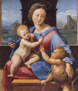 Raphael The Madonna and Child with teh Infant Baptist China oil painting reproduction