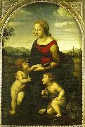 Raphael virgin and child wild st. China oil painting reproduction