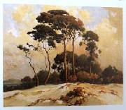 caland85 oil painting reproduction