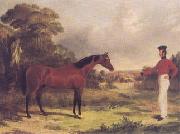 horse02 oil painting reproduction