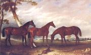 horse08 oil painting reproduction