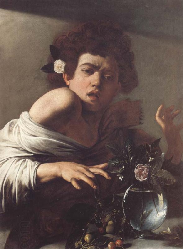 Caravaggio Boy Bitten by a Lizard China oil painting art