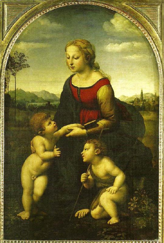 Raphael virgin and child wild st. oil painting picture