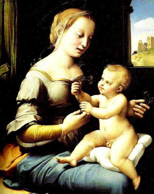 Raphael madonna of the pinks