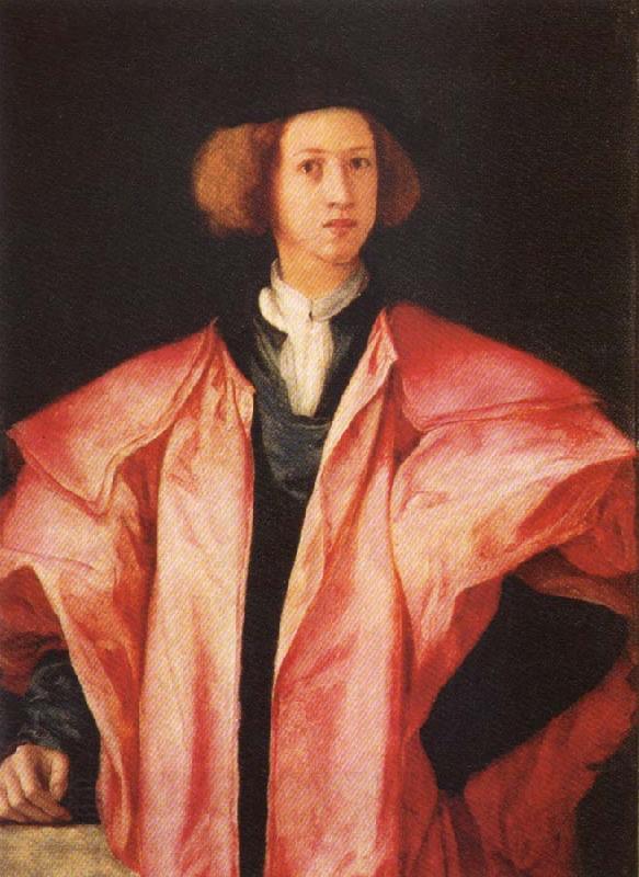 Pontormo Portrait of a young Man oil painting picture